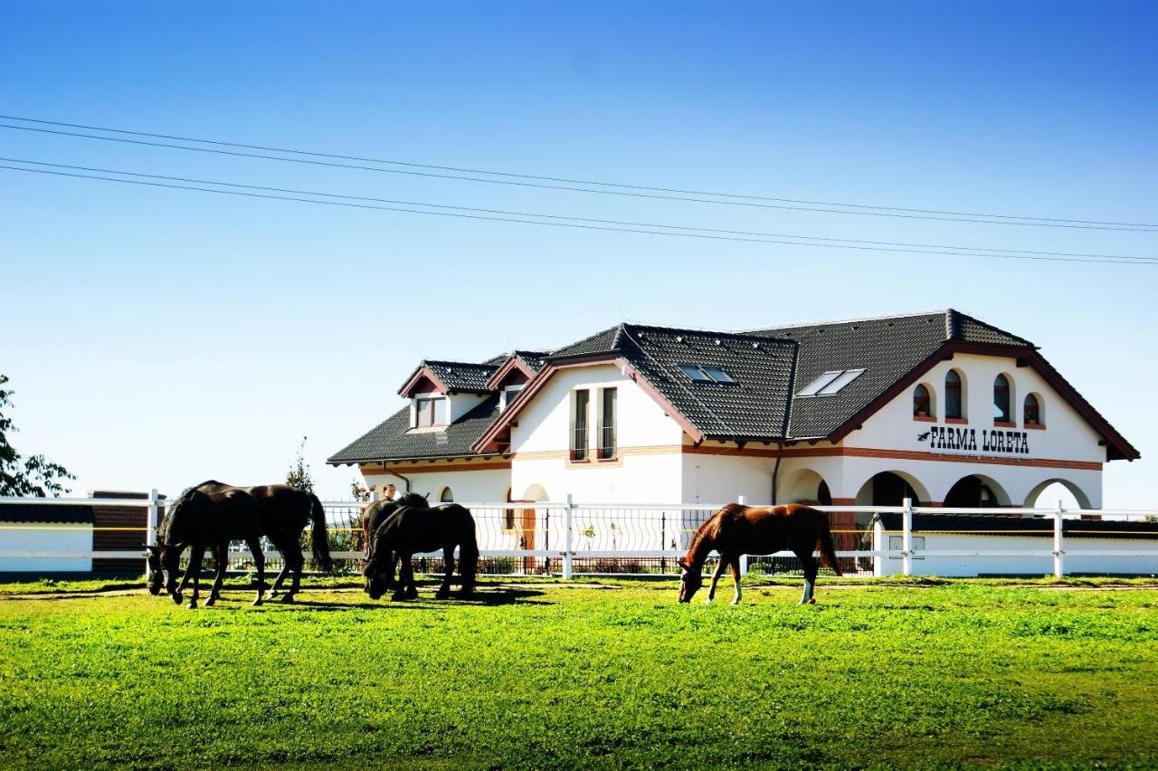 Farma Loreta Villa Vlasim Exterior photo